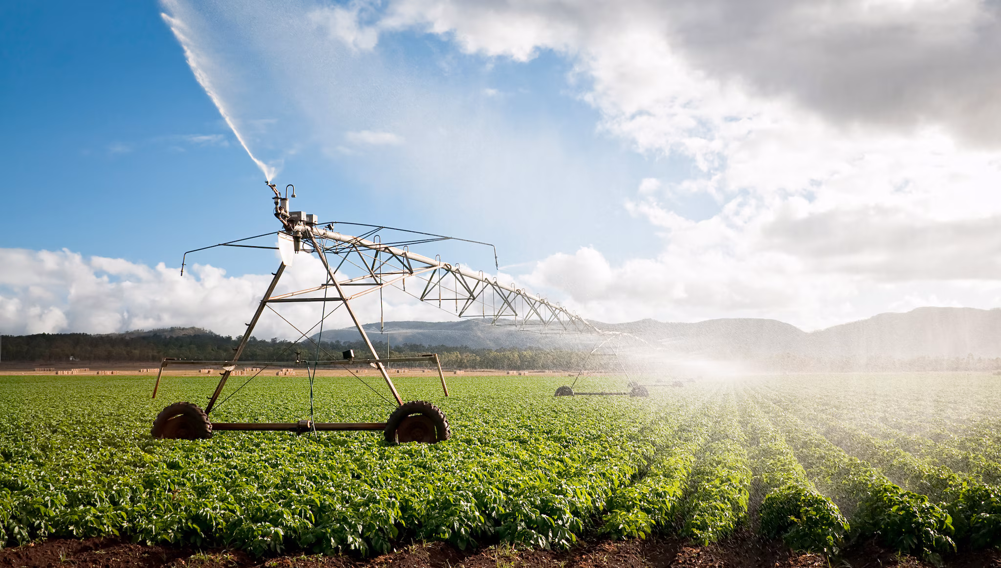 Agriculture Crop Irrigation An agriculture crop irrigation