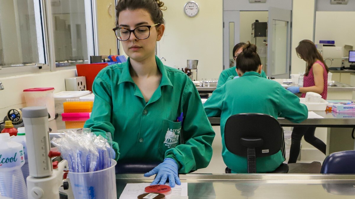 brazil fiotec lacen laboratorian Laboratorians prepare strains to test for antimicrobial resistance.