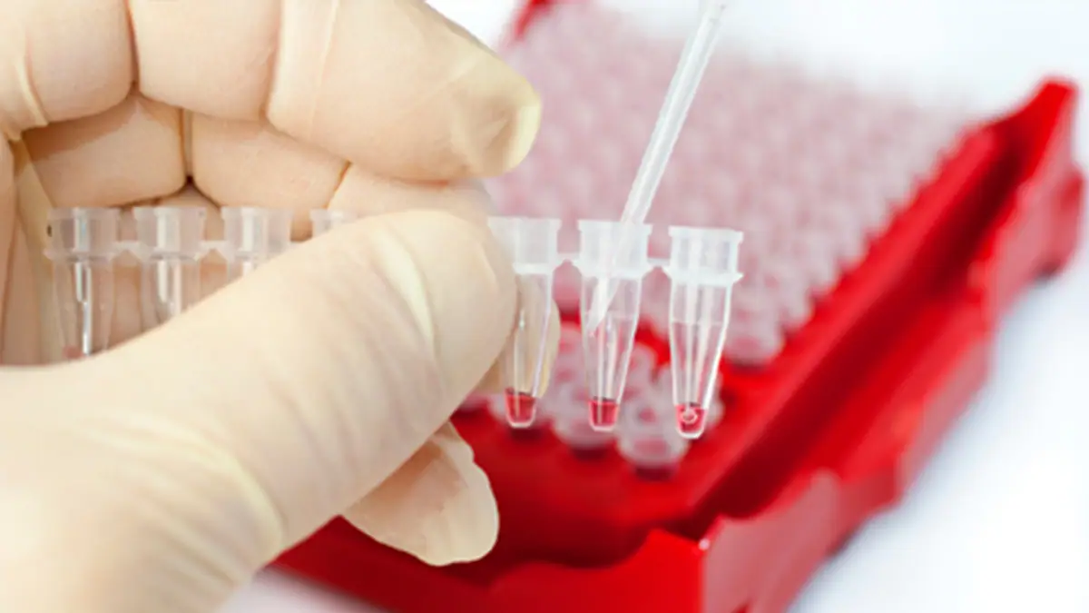 Genetic Testing A gloved hand holding test tubes.