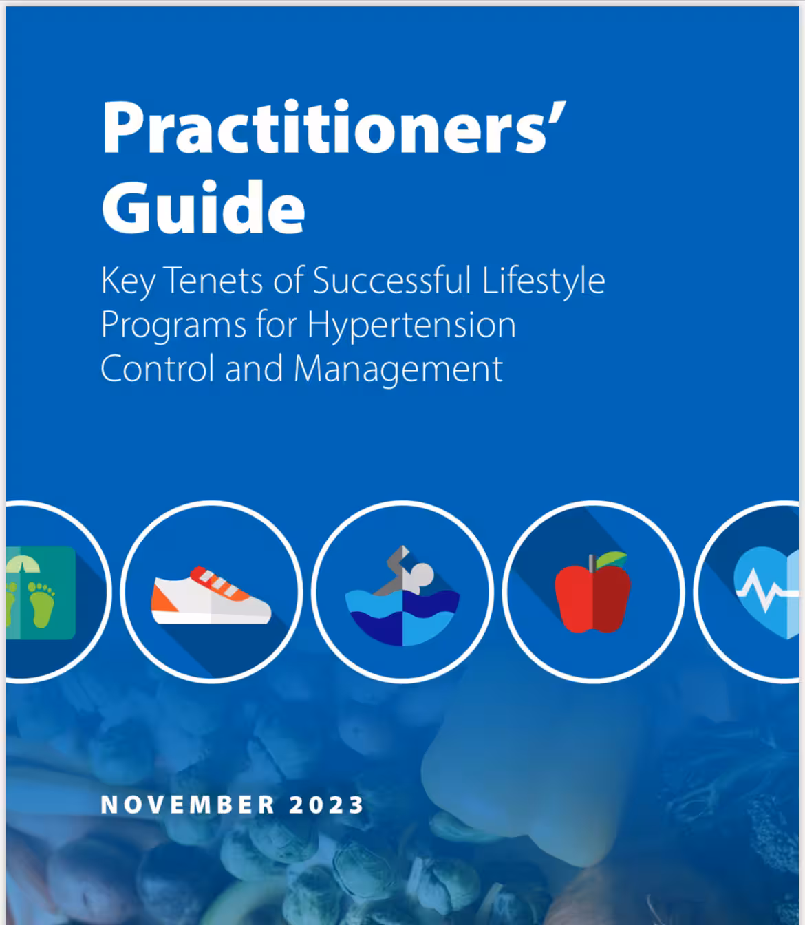 Image of Practitioner's Guide cover