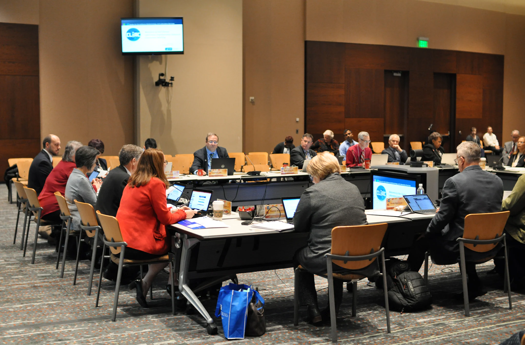 DSC_0060 Committee working at a conference table.