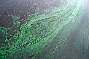 image.png Water Pollution