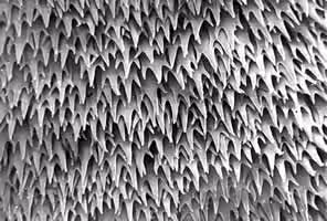 Surface_02.jpg Figure C