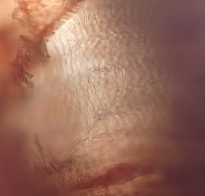 Gs_B Figure B