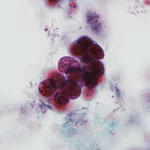 Case237_A.jpg