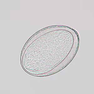 Case241_D.jpg