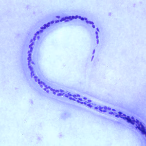 Case252_C.jpg