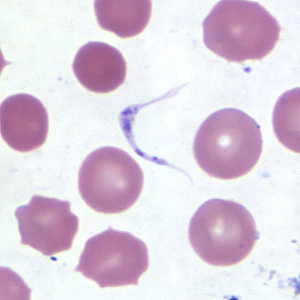 Case254_D.jpg