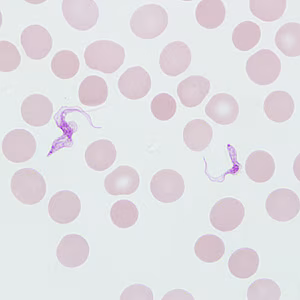 Case257_B.jpg