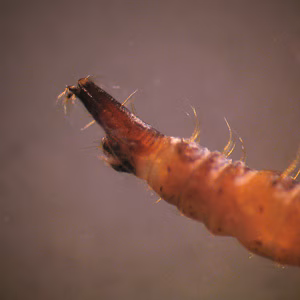 Case260_C.jpg