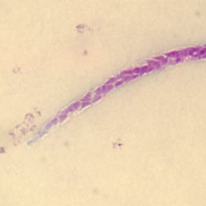 Case279_C.jpg