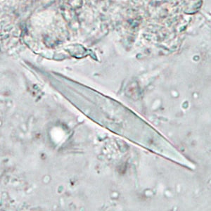 Case286_B.jpg