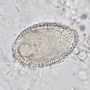 Case286_C.jpg