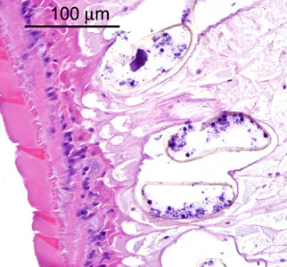 Case288_D.jpg