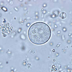 Case291_A.jpg