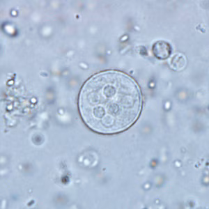 Case291_B.jpg