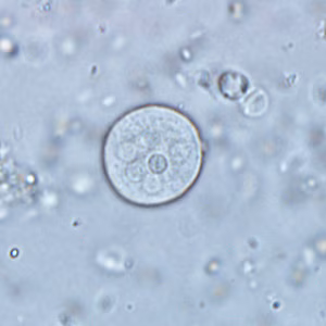 Case291_C.jpg