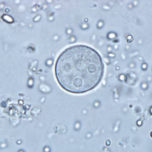Case291_D.jpg