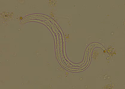 Case294_B.jpg