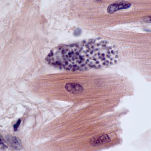 Case308_B.jpg