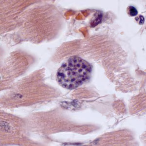 Case308_D.jpg
