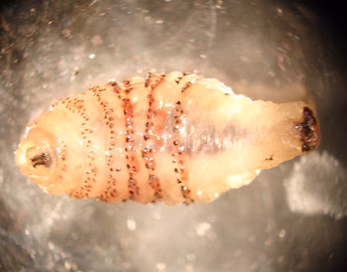 Case316_A.jpg
