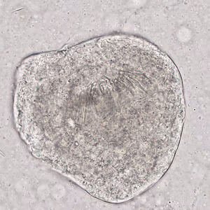 Case321_C.jpg