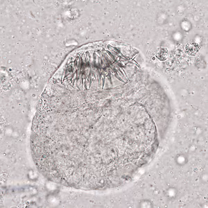 Case321_D.jpg