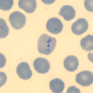 Case323_G.jpg