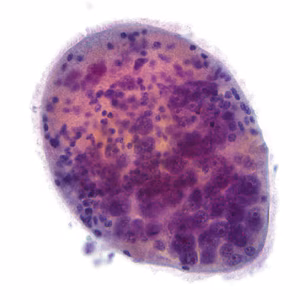 Case324_F.jpg