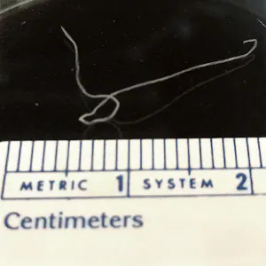 Case325_A.jpg
