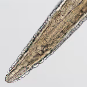 Case325_B.jpg