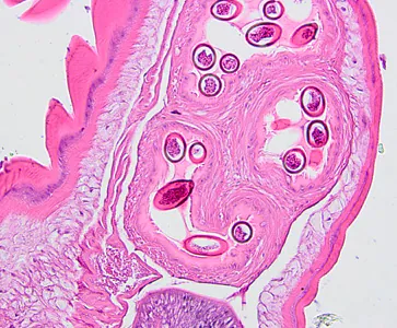 Case326_B.jpg