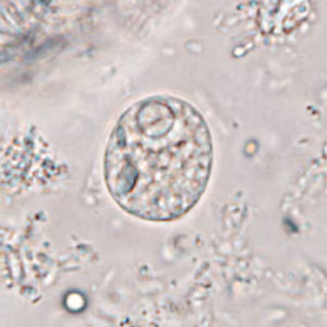 Case365_E.jpg