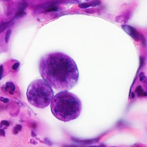 Case380_F.jpg