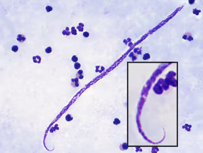 Case382_D.jpg
