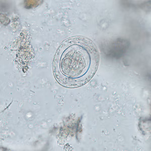 Case388_E.jpg