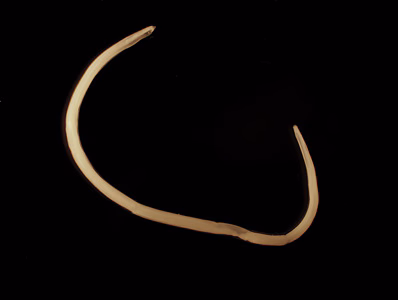 August - 2015 - Case #401