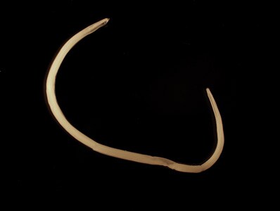 Case401_A.jpg