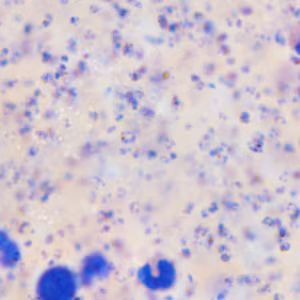 Case403_A.jpg