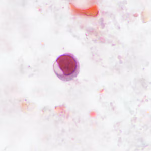 Case406_C.jpg