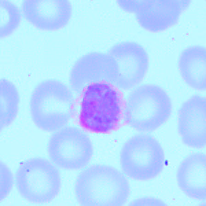 Case418_C.jpg