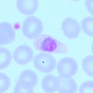 Case418_D.jpg