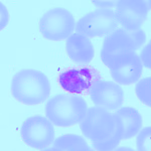 Case418_E.jpg
