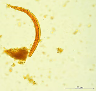 Case421_D.jpg