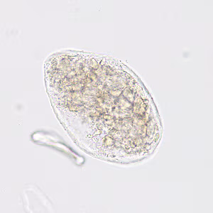 Case422_C.jpg