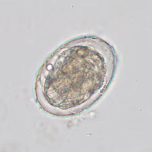 Case425_E.jpg