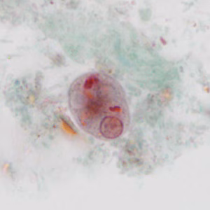 case440_C1