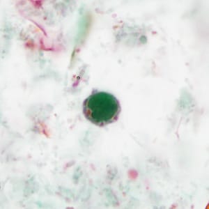 case440_G