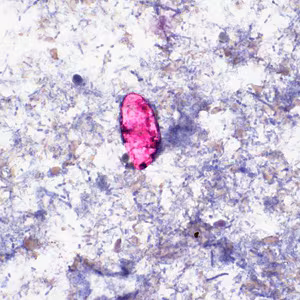 Case Study Image